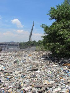 Manguezais da baía de Guanabara tranformados  em depósitos de lixo. Imagem cedida pelo entrevistado